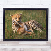 Hunter Cheetah Nature Meal Wildlife Wall Art Print