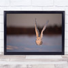 Snowy Owl Cold Winter Sunset Nature Wall Art Print
