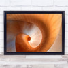 Twirl Spiral Orange Geometry Shapes Wall Art Print