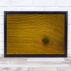 Aerial Tree Landscape Drone Yellow Wall Art Print