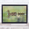 Ducklings Mother Birds Water River Wall Art Print