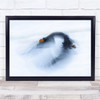 Eagle Slow Motion Snow Winter Blur Wall Art Print