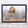 Fox Animal Wild Life Japan Spring Wall Art Print