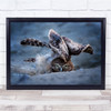 Hiding Owl wild life animal stare Wall Art Print