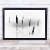 reeds close up black and white Wall Art Print