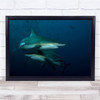 Underwater Sharks Colour Twist Wall Art Print