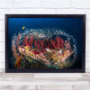Coral Glassfish Reef Fish Sea Wall Art Print