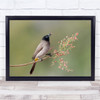 Nature Bird Blossom Tree Twig Wall Art Print