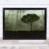 Tree Forest Foggy Mist Nature Wall Art Print