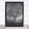 Eerie tree grey scale nature Wall Art Print