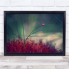 Ladybug Insect Bug Grass Red Wall Art Print