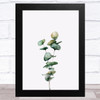 Watercolour Eucalyptus Design 3 Home Wall Art Print