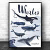 Types Of Whale Sealife Ocean Wall Art Print