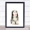 Dog Old English Sheepdog Bubblegum Wall Art Print