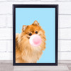 Pomeranian Colour Dog Light Blue Pink Gum Wall Art Print