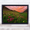 Carpet Of Wildflowers Wildflower Mountain Sunset L Botanical Wall Art Print