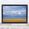 Colours Of Freedom Giraffe Wildlife Animal Serengeti Cloud Wild Plains Art Print