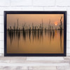 Drowned Forest Sun Sunset Trees Water Reflection Sky Skies Wall Art Print