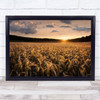 Fields Of Gold Field Wheat Grow Growing Plantation Sweden Sun Sunset Art Print