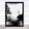 Fog Palm Trees Tree Grain Grainy Street Wall Art Print