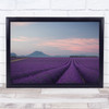 Lavender Field Fields Rows Purple France Provence Farm Wall Art Print
