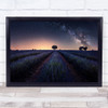 Lavender Fields Lavander Panorama Sky Night Flower Flowers Field Wall Art Print