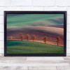 Moravia Grass Trees Green Brown Agriculture Field Sunset Wall Art Print