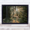 Rays part 2 Woodland Forest Trees Rays Sunlight Sunrise Tree Light Art Print