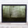 Root 1 Roots Fog Mist Haze Trees Woods Tree Wall Art Print Root 1 Roots Fog Mist Haze Trees Woods Tree Wall Art Print