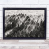 Sundance No1 Trees Forest Pine Fir Pines Firs Wall Art Print