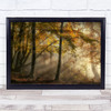 The lights of forest Autumn Leaves Trees Backlight Morning Light Fall Art Print
