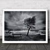 Today No One Wind Windy Blow Blowing Weather Storm Bench Empty Wall Art Print