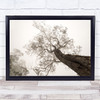 Tree Perspective Toned Monocolour Tall High Up Soft Art Print