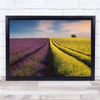 Violyellow Lines Yellow Violet Purple Tree Colours Valensole France Art Print