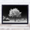 White Tree No Colour In Field Wall Art Print