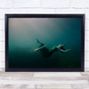 Fall Of Beauty Girl Underwater Wall Art Print