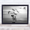 Love Man Seagull Beach Feeding Kiss Interaction Melbourne Wall Art Print