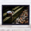 The 'Little Fisherman' Boy Kid Child Bali Indonesia Feed Feeding Reach Art Print