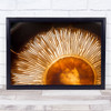 Portobello Mushroom Champignon Vegetable Food Sun Light Sunrays Wall Art Print