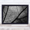 Streets Leaf Veins Artery Arteries Capillary Capillaries Texture Wall Art Print