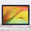 Waiting Gel Abstract Water Drop Pearl Dew Colour Colours Wall Art Print