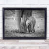 Baby 1 Elephant Elephants Wildlife Nature Cute Cub Mother Love Wall Art Print