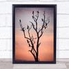 Before The Sunset Birds Dusk Tree Branch Branches Wildlife Wild Nature Art Print