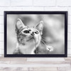 Curious Cat Kitten Flower Pet Cute Smell Fragrance Bokeh Wall Art Print