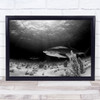 Dark Tiger Underwater Shark Bottom Light Rays Sunbeams Wall Art Print