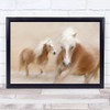 Direct Contact Mare Haflinger Speed Galloping Gallop Motion Blur Wall Art Print