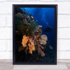 Diving Ocean Sea Underwater Coral Reef Diver Scuba Dive Wall Art Print