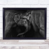 Elephant 2 Elephants Animal Animals Sri Lanka Cute Wall Art Print
