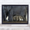 Escort Elephant Elephants Cute Cub Baby Small Family Group Flock Wall Art Print