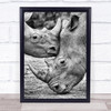 Face to Rhinoceroses Horns Cantabria Spain Cabarceno Rhino Rhinos Kiss Art Print
